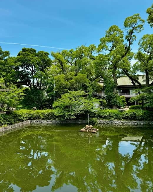 Osaka: Private Tour with English speaking Guide and pickup - Practical Details and What to Expect