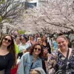 Osaka: Springtime Sakura Picnic "Hanami" - Why We Love This Tour