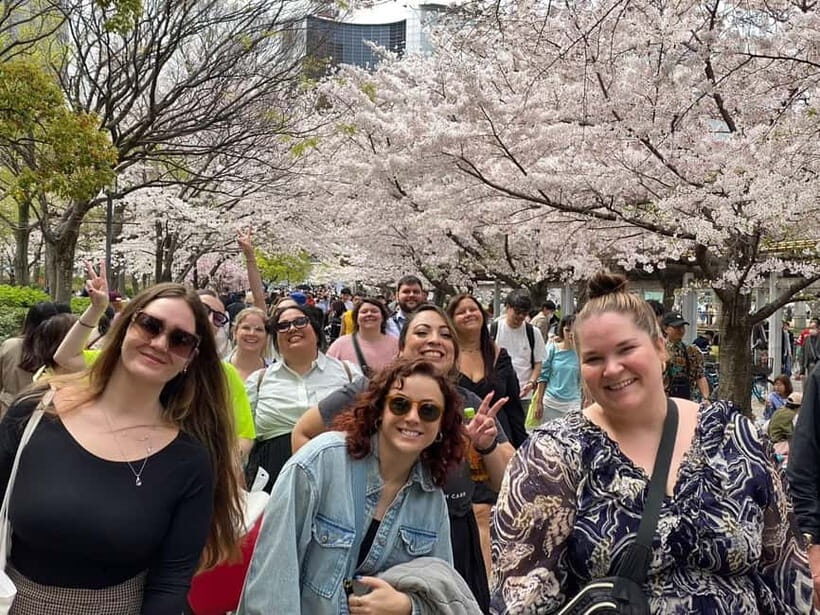 Osaka: Springtime Sakura Picnic "Hanami" - Why We Love This Tour