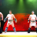 Osaka: Sumo Stage Show with Bento & Fight + Photo Shooting - What to Expect from the Sumo Stage Show