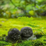 Osaka to Kyoto: Arashiyama Bamboo Grove Small Group Tour - Who Is This Tour Best Suited For?