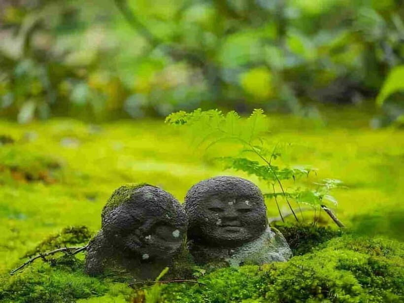 Osaka to Kyoto: Arashiyama Bamboo Grove Small Group Tour - Who Is This Tour Best Suited For?