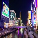 Osaka: Tsutenkaku - Namba - Dotombori (Spanish Guide) - Nipponbashi: Tech, Manga, and Pop Culture