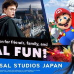 Osaka: Universal Studios Japan E-Ticket - Exploring the Park: What You Can Expect