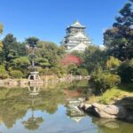 Osaka: Visit the must-see places. - Why This Tour Works for Travelers