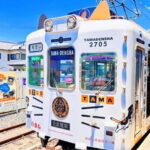 Osaka: Wakayama Cat Train, Seafood market, Hot Springs Tour - What to Expect and Practical Tips