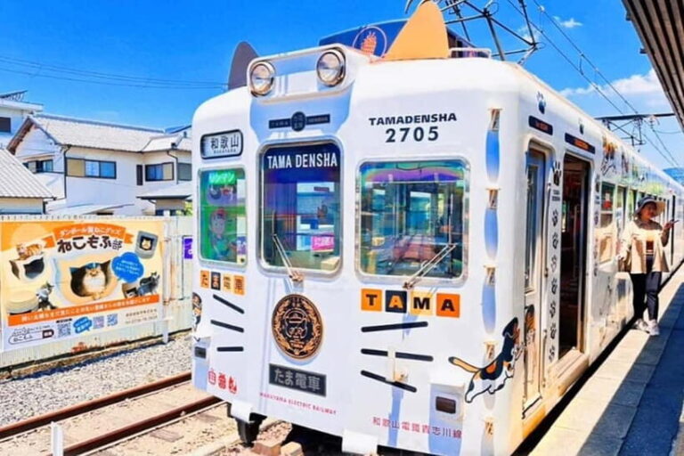 Osaka: Wakayama Cat Train, Seafood market, Hot Springs Tour - What to Expect and Practical Tips