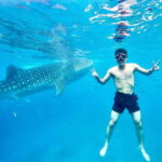 Oslob Whale Shark Direct - Why This Tour Is a Great Choice
