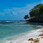 Oslob Whale Shark Group Tour with Sumilon Island & Tumalog Falls - What We Think