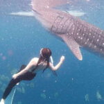 Oslob: Whale Shark Swim & Snorkeling Experience Tour - Who Should Consider This Tour?