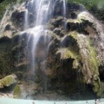 Oslob Whale Shark watching + Canyoneering Adventure Tour - Who Will Love This Tour?