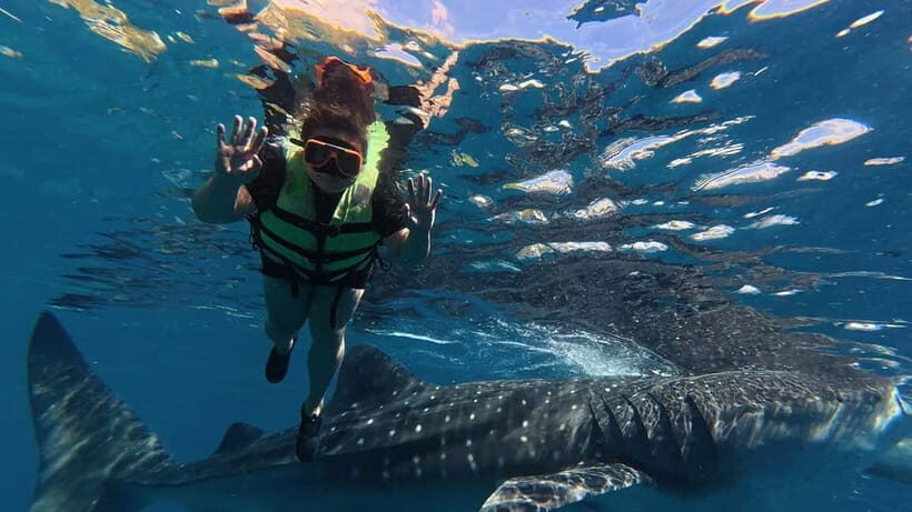 Oslob: Whale Shark Watching Private tour - What Makes This Tour Stand Out
