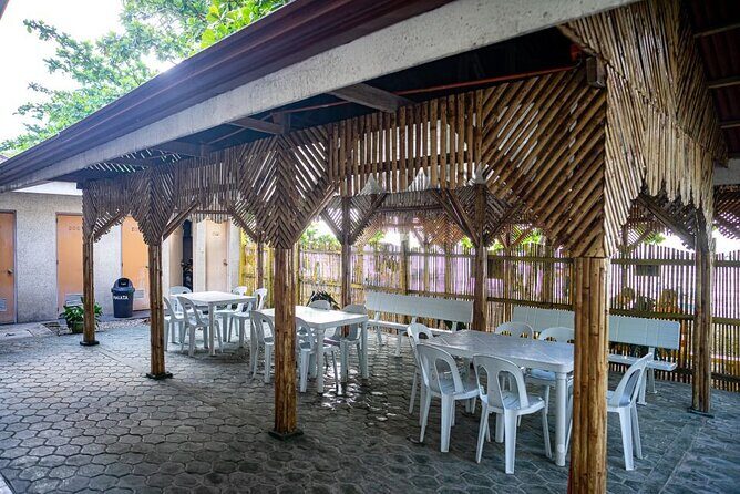 Oslob Whale Sharks and Moalboal Sardine Run, Sea Turtles Tour - What the Reviews Tell Us