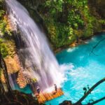 Oslob Whaleshark and Kawasan Falls Tour - Who Is This Tour Best For?