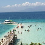 Oslob: Whaleshark Watching, Sumilon Island & Monkey Viewing - Transportation and Practical Considerations