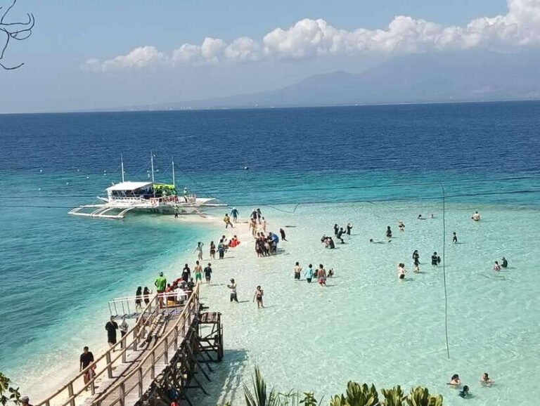 Oslob: Whaleshark Watching, Sumilon Island & Monkey Viewing - Transportation and Practical Considerations