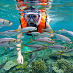 Oslob whaleshark watching & Tumalog falls & sardines run - Who Should Consider This Tour?