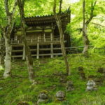 Otagi Nenbutsu Temple and Arashiyama Bamboo Forest Tour - The Heart of Kyoto’s Hidden Charms: An In-Depth Look
