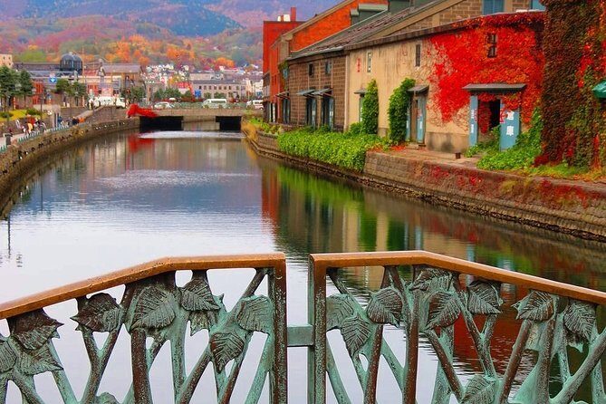 Otaru 6hr Private Trip with Government-Licensed Guide - Who Should Consider This Tour?