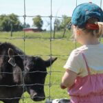 Ottawa Valleyview Little Animal Farm Tour - FAQ