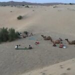 Over Nights Camel Safari Non Touristic 02:30PM - Who Should Book This Safari?