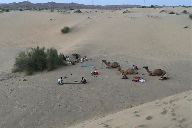 Over Nights Camel Safari Non Touristic 02:30PM - Who Should Book This Safari?
