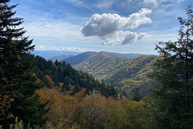 Over the Top Tour in Oconaluftee - Practicalities and Value