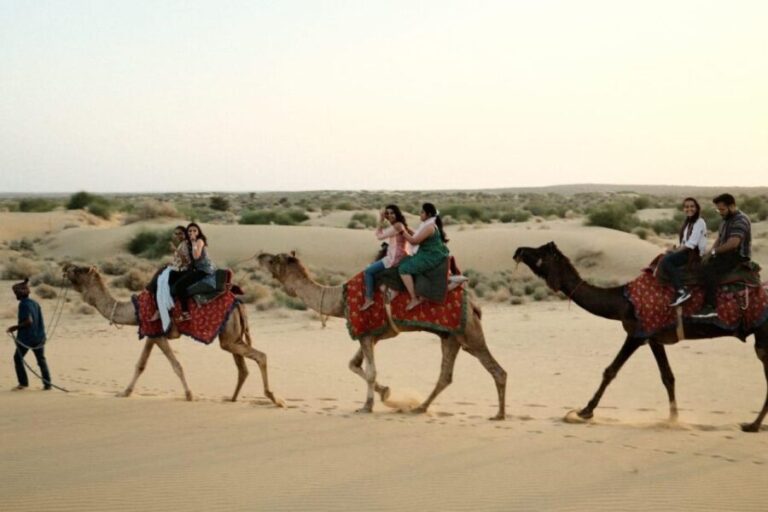 Overnight Adventure Safari by Wonbin Safari - Practical Considerations and Value