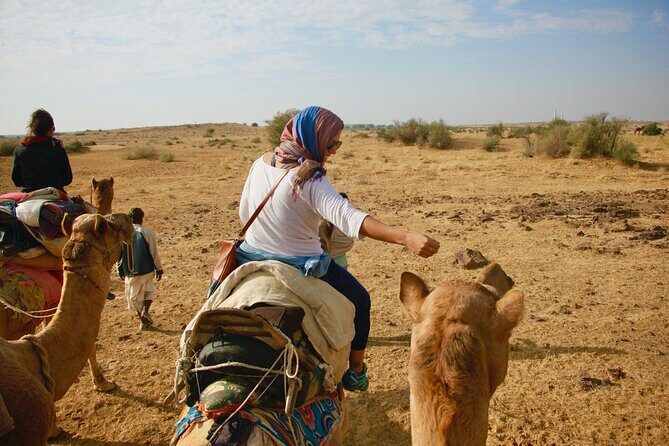 Overnight Camel Safari - Sleeping under the Stars - The Morning After: Sunrise and Return