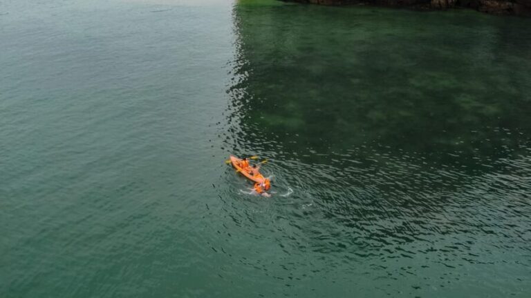 Overnight Cruise in Lan Ha Bay - 2 Days 1 Night Discovery - Frequently Asked Questions