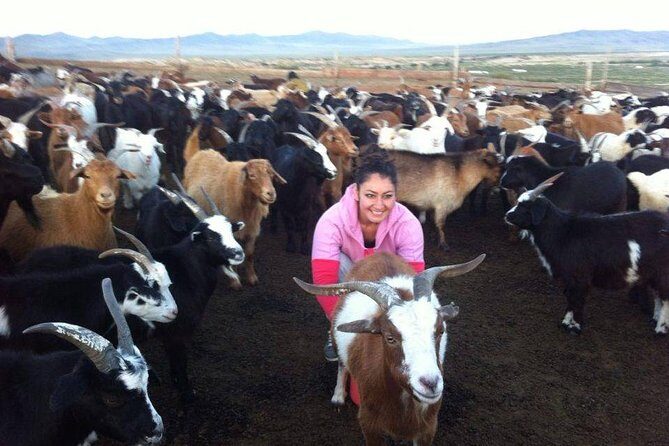 Overnight Semi-Gobi Tour with Nomadic HomeStay - In-Depth Review: What Makes This Tour Stand Out?