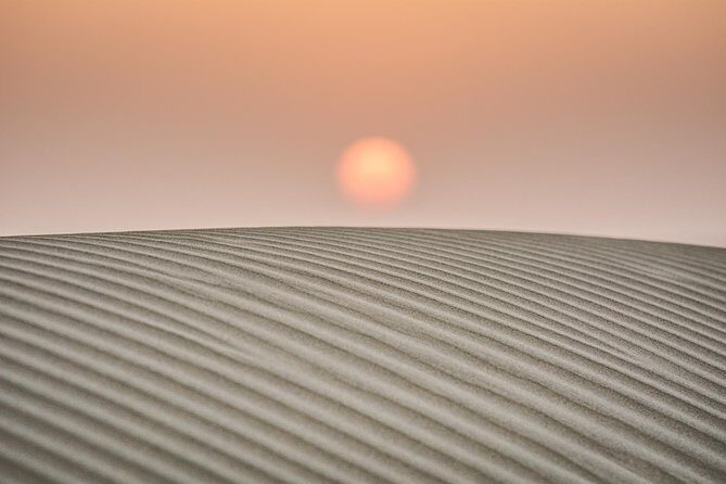 Overnight stay in the Desert - Day Two: Camel Safari and Return