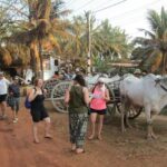 Ox-cart Culture Tour, Countryside Experince in Siem Reap - Exploring the Rural Side of Cambodia: What You Can Expect