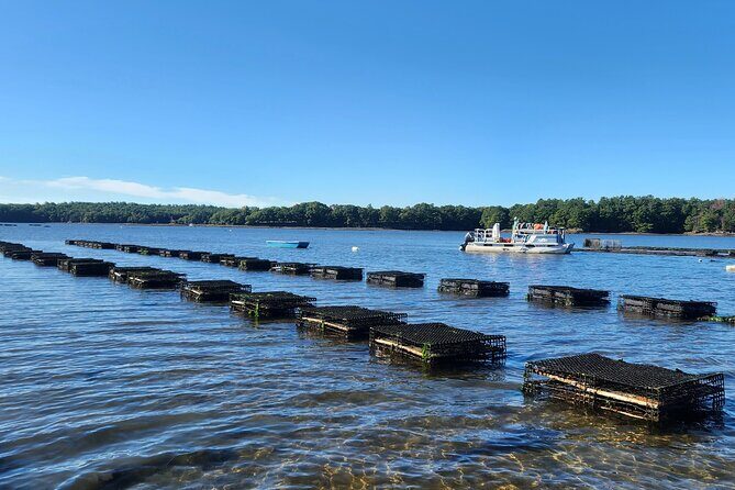Oyster Tasting and Kayak Tour