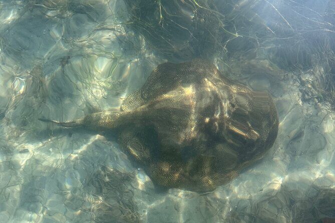 Paddle Board Picnic Peanut Island Palm Beach Singer Island - Final Thoughts