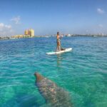 Paddle Boarding Activity to Peanut Island - FAQs