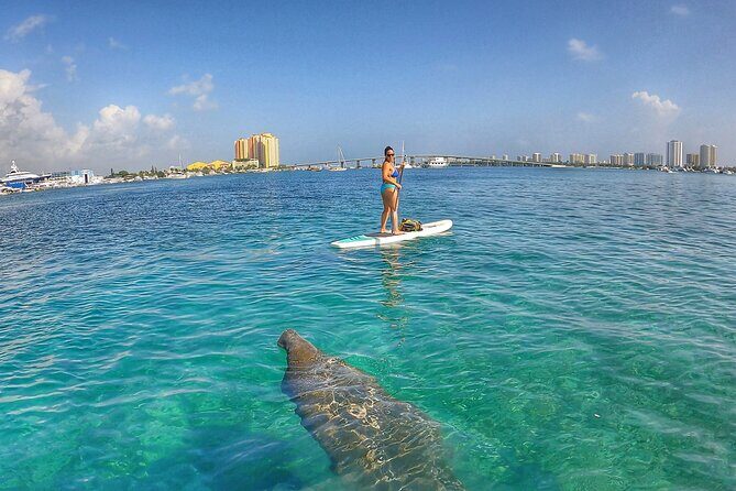 Paddle Boarding Activity to Peanut Island - FAQs