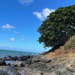 Paddle boarding and hiking adventure at Mokoli'i Island. - The Itinerary: What You Can Expect