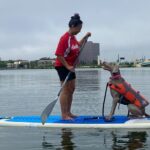 Paddle with Pups in Paradise - Paddleboard or Kayak - Potential Drawbacks and Considerations