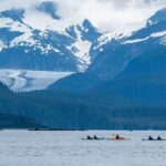 Paddle with Whales Kayak Adventure Juneau - Who Should Consider This Tour?
