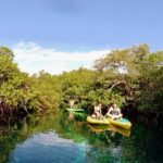 Paddleboard Cenote Tour - Practical Details and Considerations