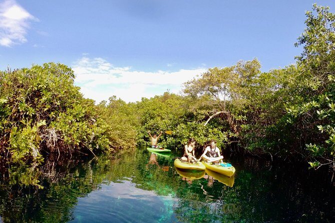 Paddleboard Cenote Tour - Practical Details and Considerations
