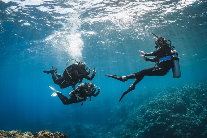 PADI Discover Scuba Diving - Who Should Consider This Tour?