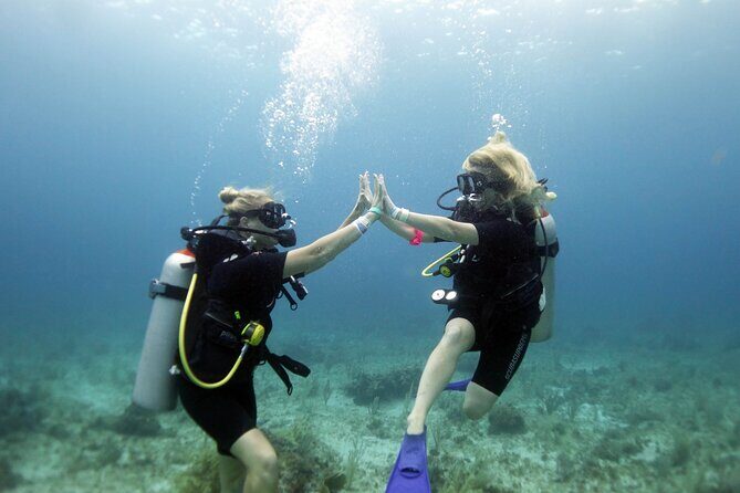 PADI Open Water Diver Course - The Sum Up: Who Should Consider This Course?
