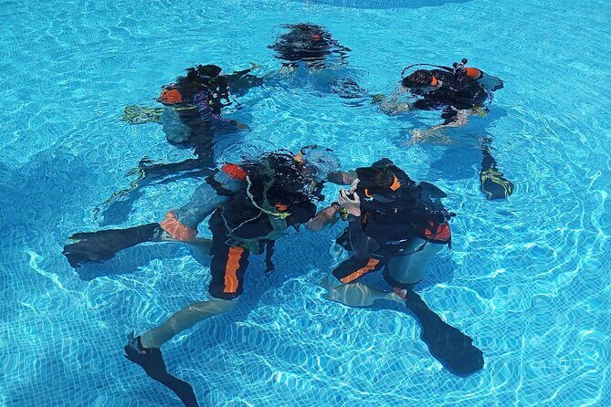 Padi open water diver course (Start at Ko Kut) - Final Thoughts