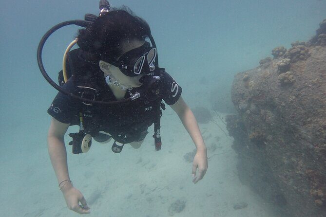 PADI Scuba Diver course for beginners Two days one night accommodation included - Exploring the Koh Samui and Koh Tao Diving Adventure