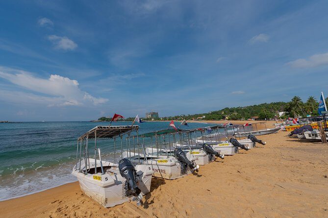 PADI Scuba Diver Course - Detailed Review of the PADI Scuba Diver Course