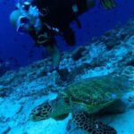 PADI Scuba Lesson and Shore Dive in Maui - FAQ