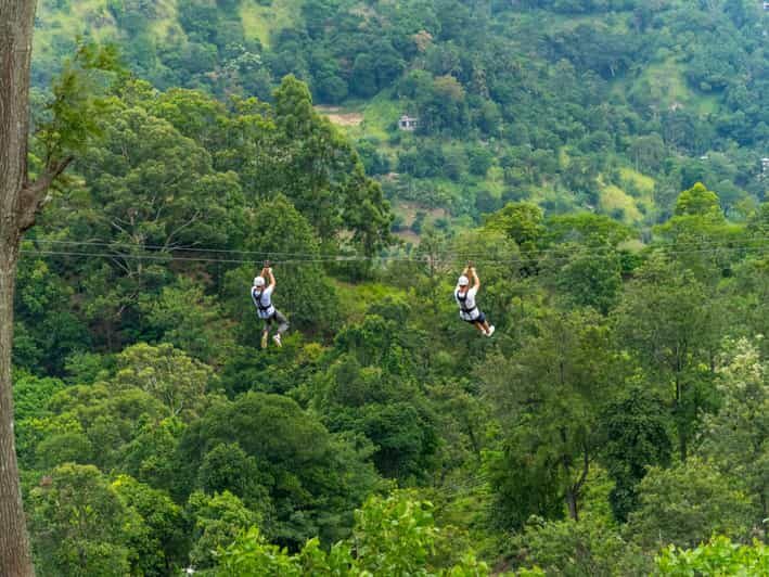 Pai: Jungle Ziplining Adventure with 16 Platforms - Why This Tour Offers Great Value
