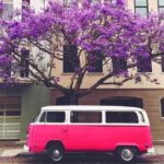 Painted Ladies San Francisco City Tour - Who Is This Tour Best For?